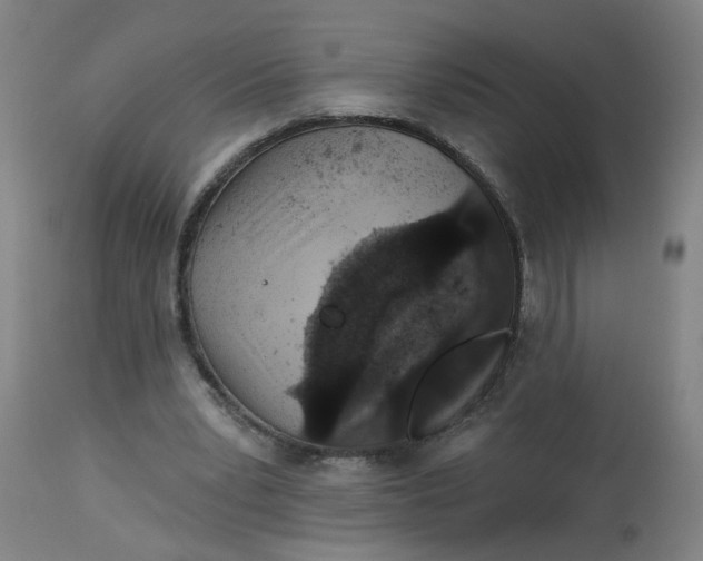 X0000113020391200909171459