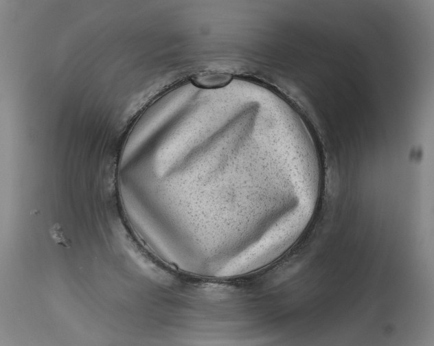 X0000113020393200909171459