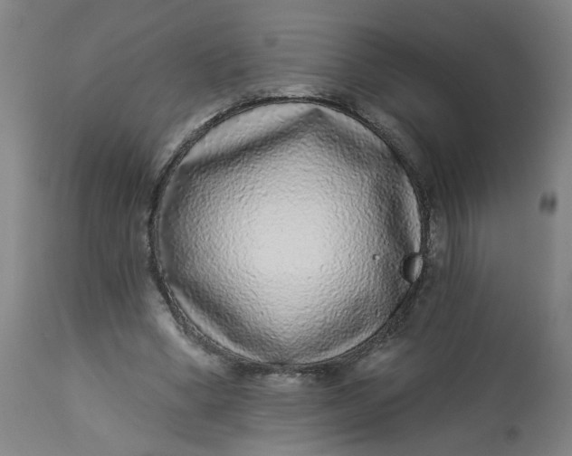 X0000113020394200909171459