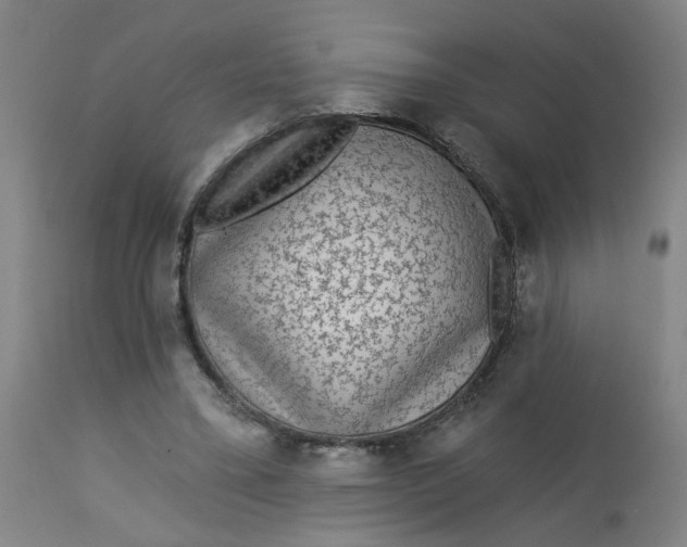 X0000113020395200909171459