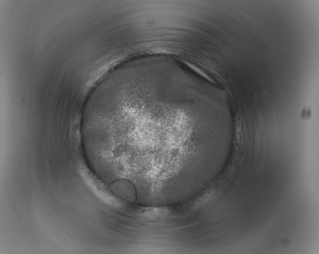 X0000113020398200909171459