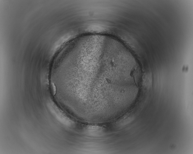 X0000113020399200909171459