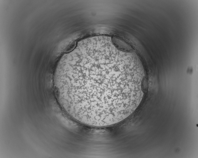 X0000113020401200909171459