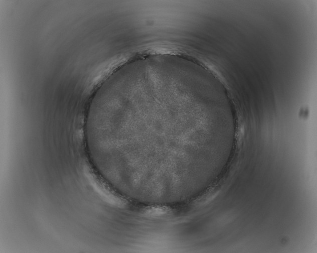 X0000113020402200909171459