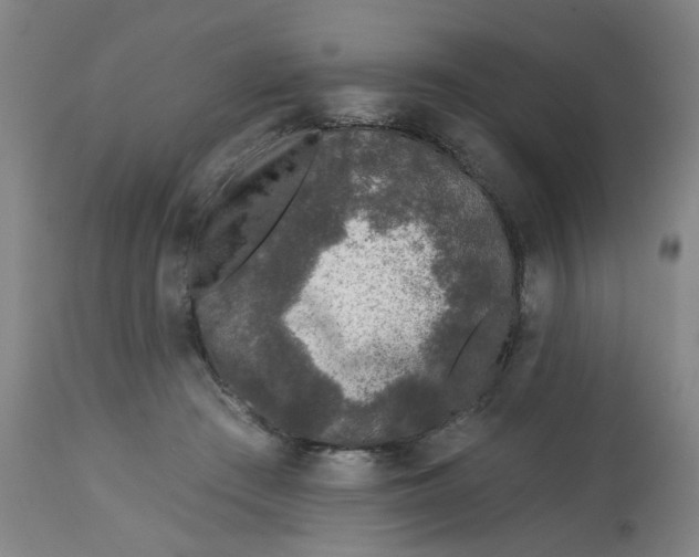 X0000113020409200909171459