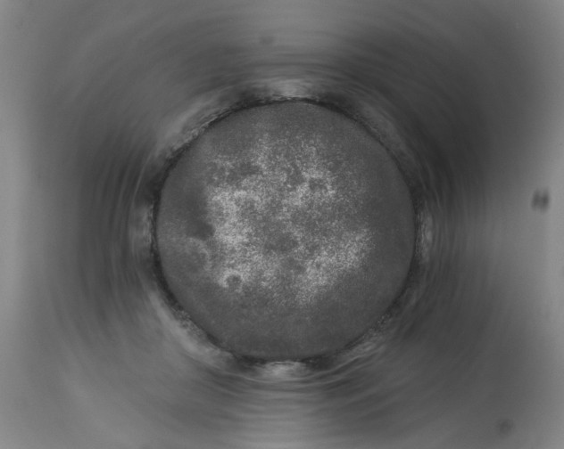 X0000113020410200909171459