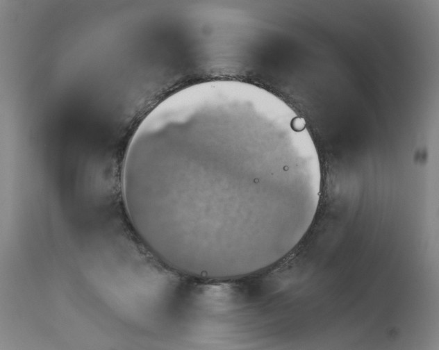 X0000113020411200909171459