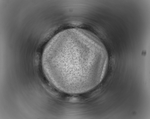 X0000113020412200909171459