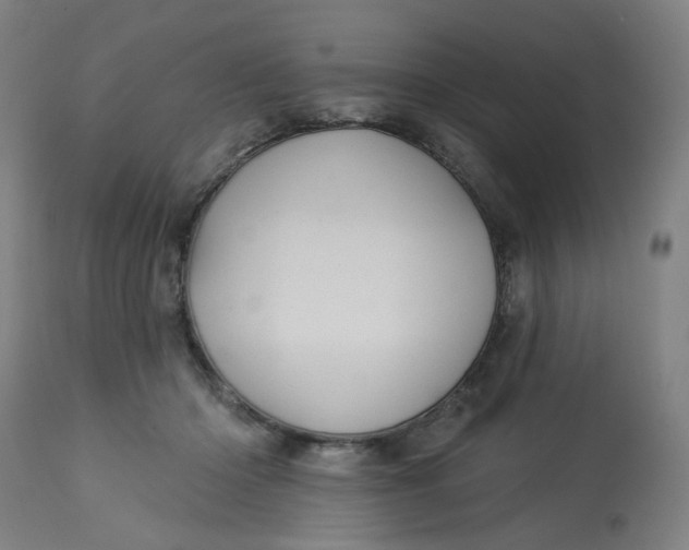 X0000113020414200909171459