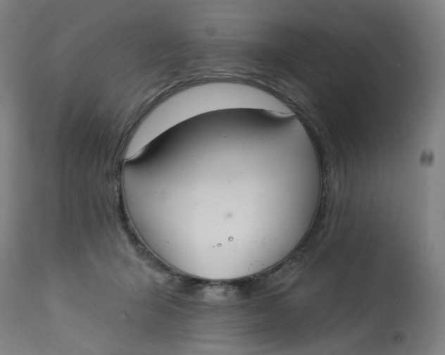 X0000113020415200909171459