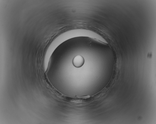 X0000113020417200909171459