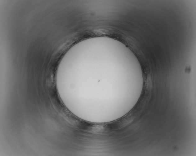 X0000113020418200909171459