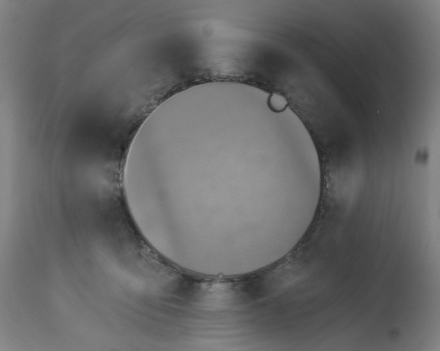 X0000113020419200909171459