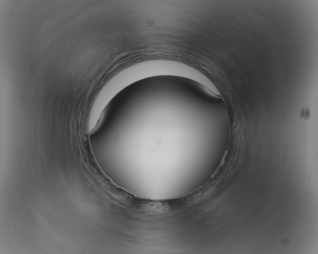 X0000113020421200909171459