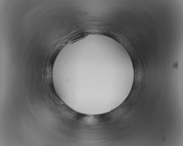 X0000113020425200909171459