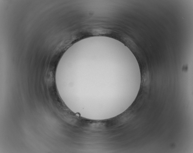 X0000113020426200909171459