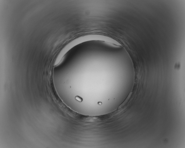 X0000113020427200909171459