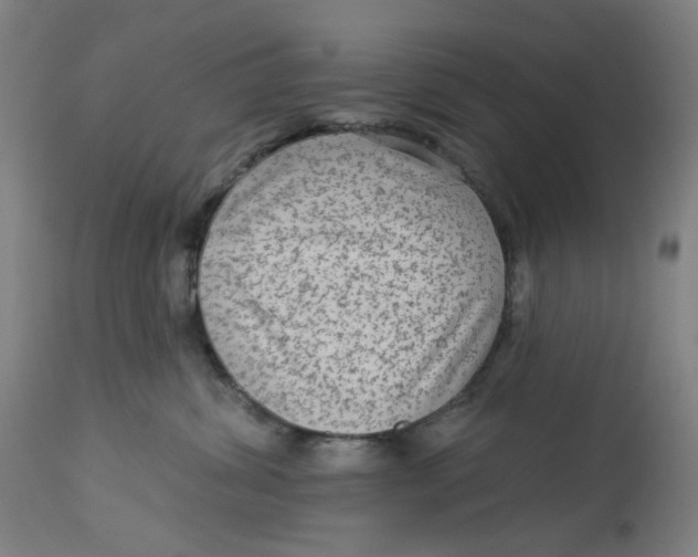 X0000113020428200909171459