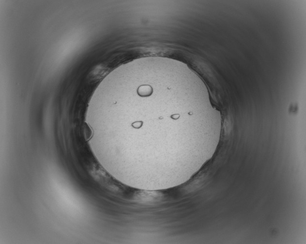 X0000113020429200909171459