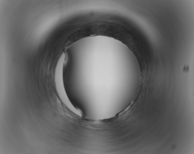 X0000113020431200909171459