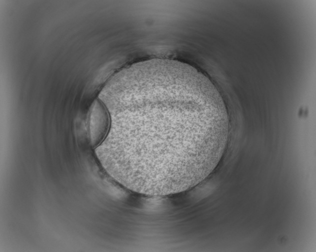 X0000113020432200909171459