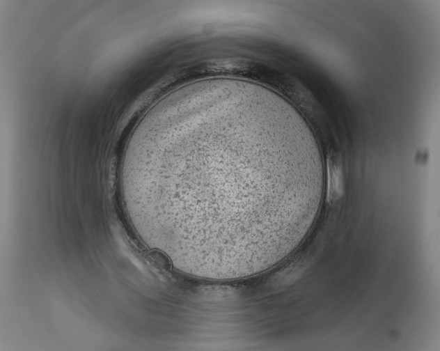 X0000113020435200909171458