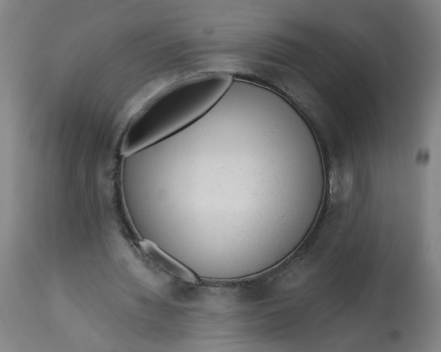 X0000113020436200909171458