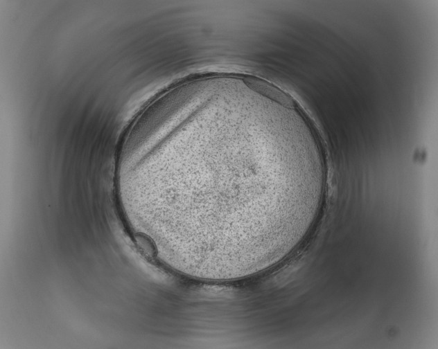 X0000113020437200909171458