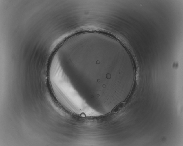 X0000113020438200909171458