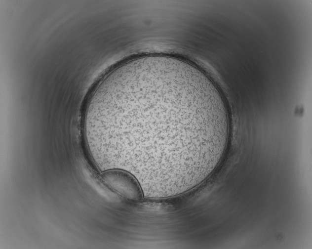 X0000113020439200909171458