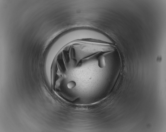 X0000113020440200909171458