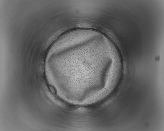 X0000113020441200909171458