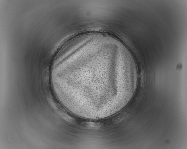 X0000113020442200909171458