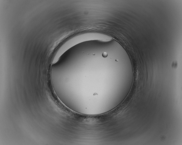 X0000113020444200909171458