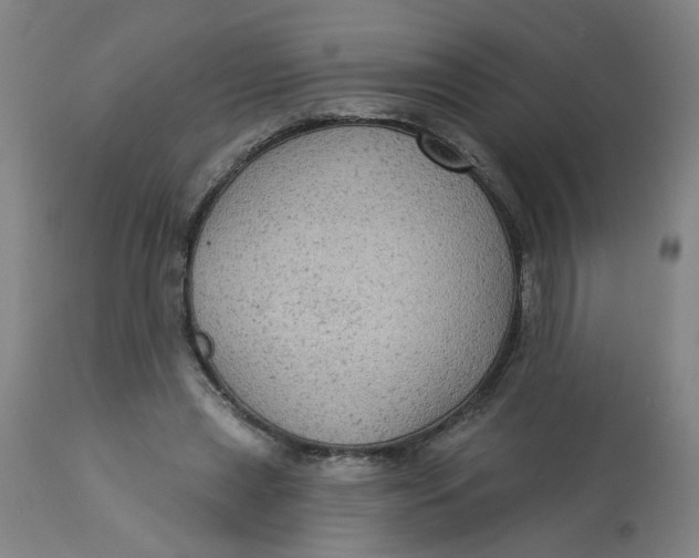 X0000113020445200909171458