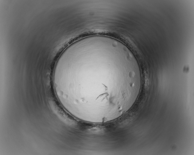 X0000113020447200909171458