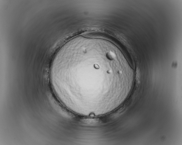 X0000113020449200909171458