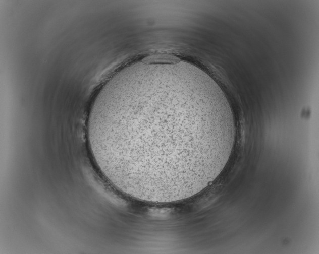 X0000113020450200909171458