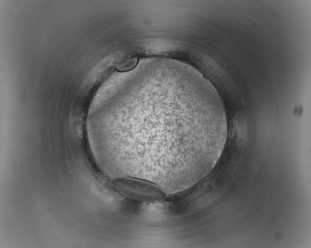 X0000113020452200909171458