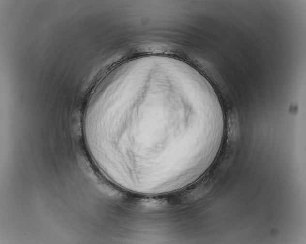 X0000113020453200909171458