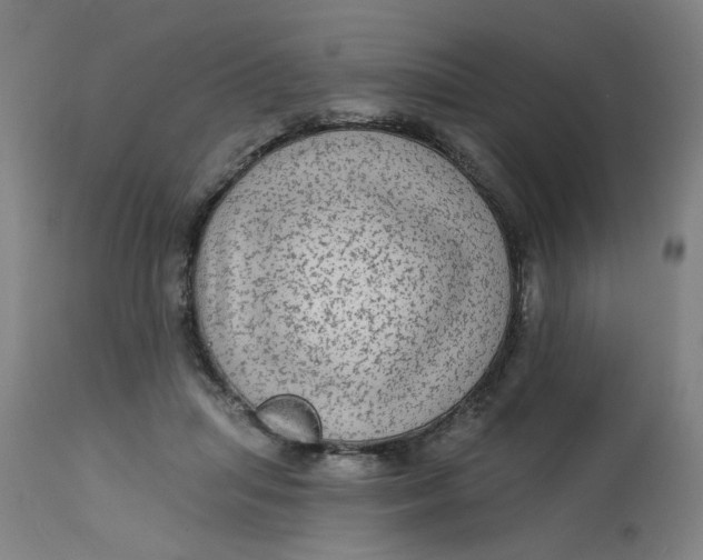 X0000113020455200909171458