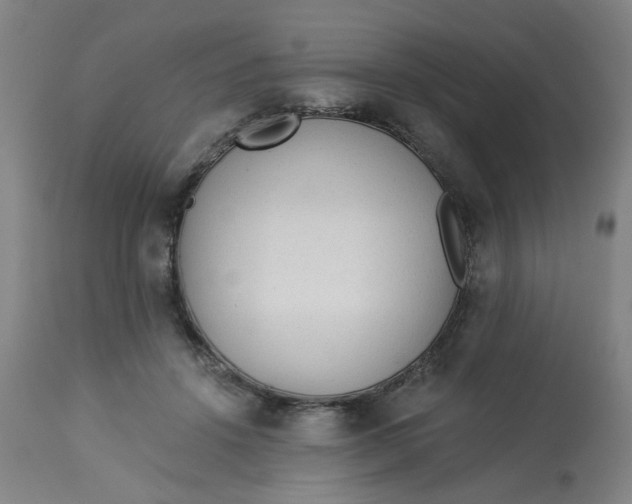 X0000113020456200909171458