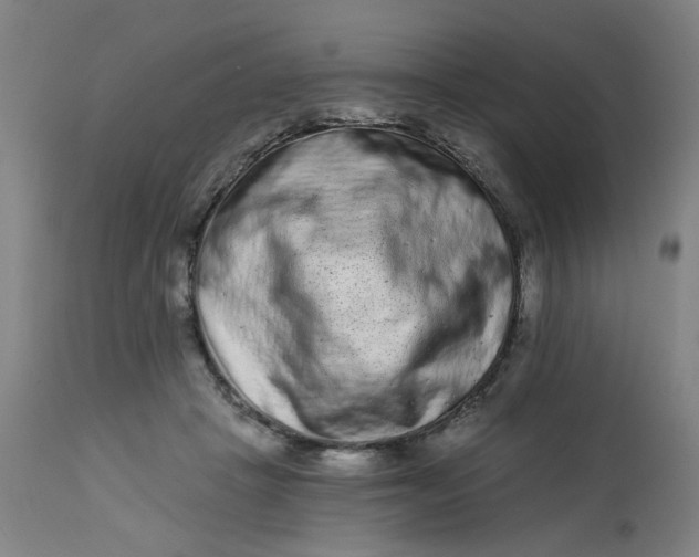 X0000113020457200909171458