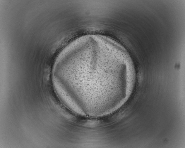 X0000113020458200909171458