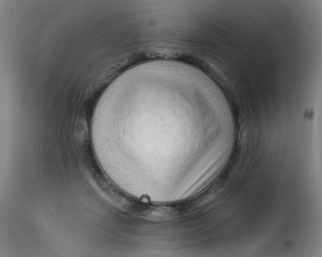 X0000113020459200909171458