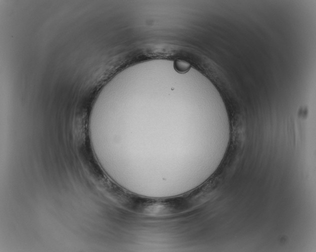 X0000113020460200909171458