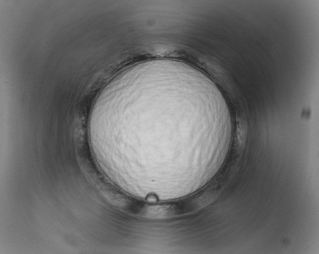 X0000113020461200909171458