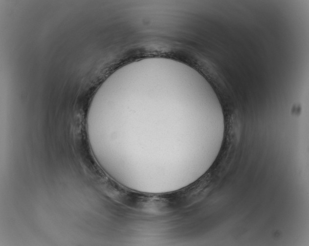 X0000113020463200909171458