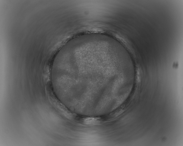 X0000113020465200909171458