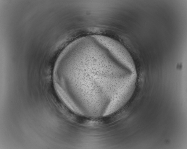 X0000113020466200909171458